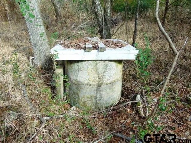 TBD Highway 79 Tract 2, New Summerfield, TX 75780 - #3