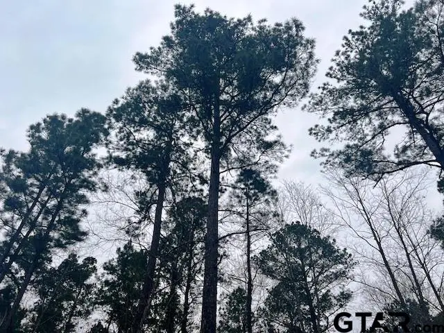 TBD Highway 79 TRact 3, New Summerfield, TX 75780 - #1