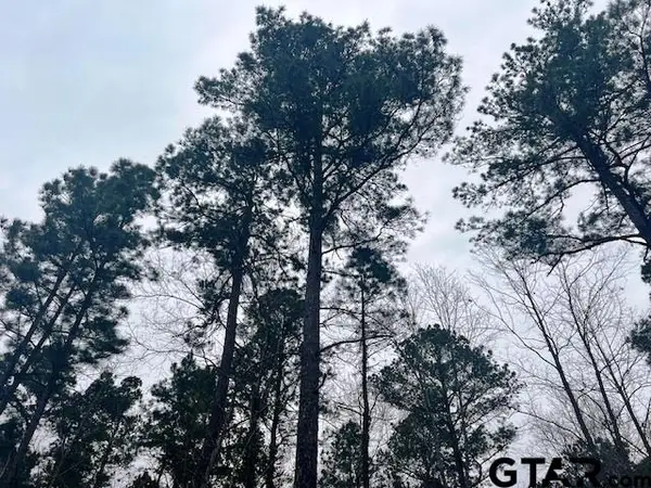 TBD Highway 79 TRact 3, New Summerfield, TX 75780