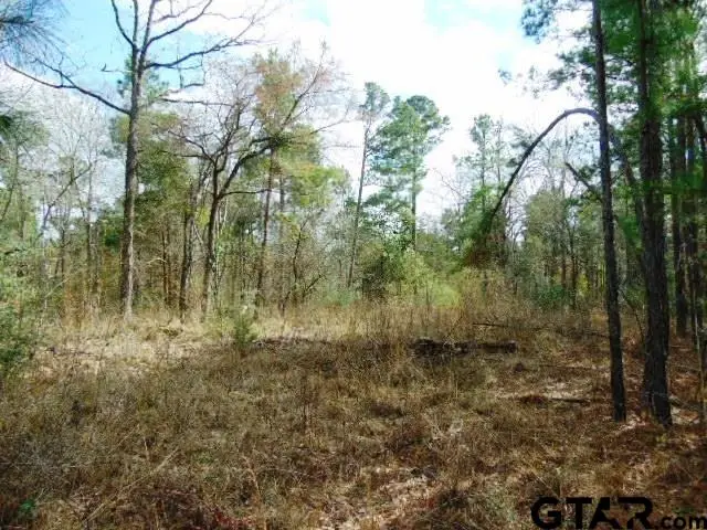 TBD Highway 79 TRact 3, New Summerfield, TX 75780 - #3