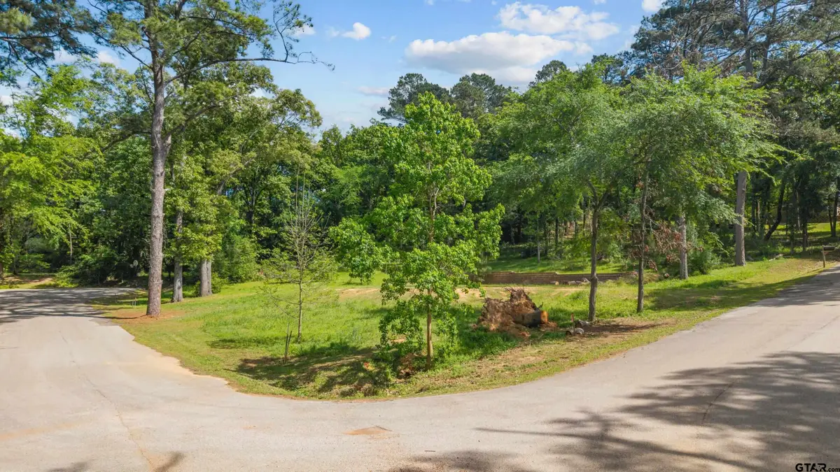 17839 Harbor Ln, Flint, TX 75762 - #1