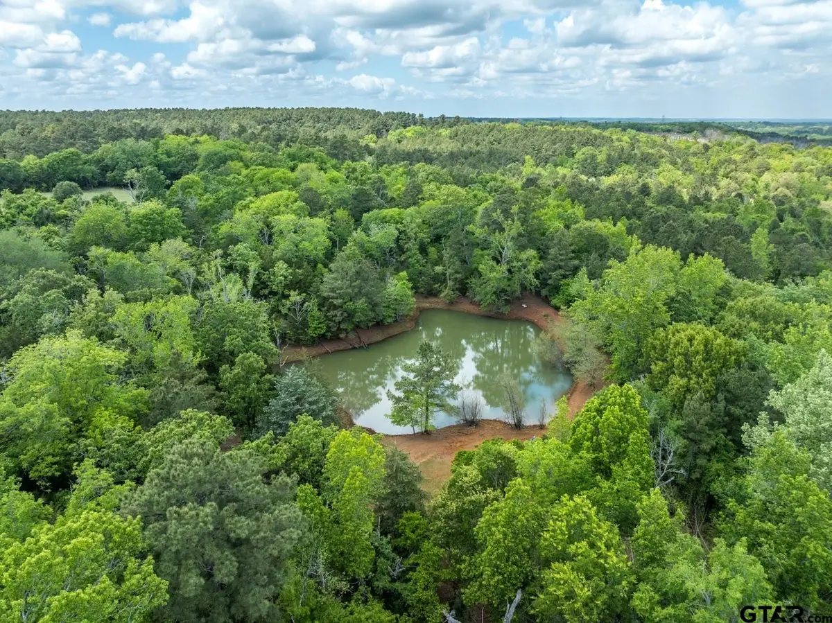 1695 County Road 3408, Jacksonville, TX 75766 - #1