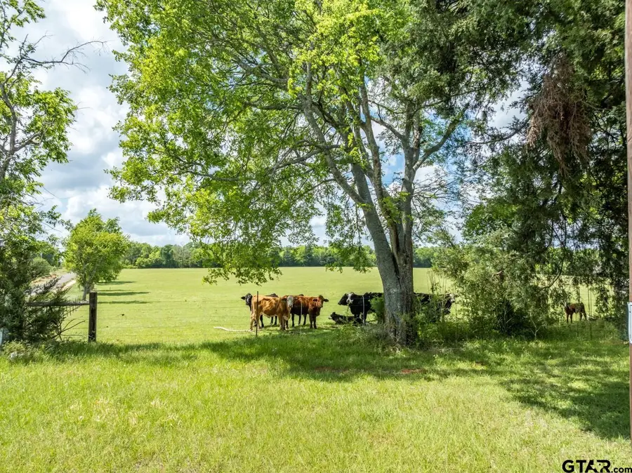1695 County Road 3408, Jacksonville, TX 75766 - #3
