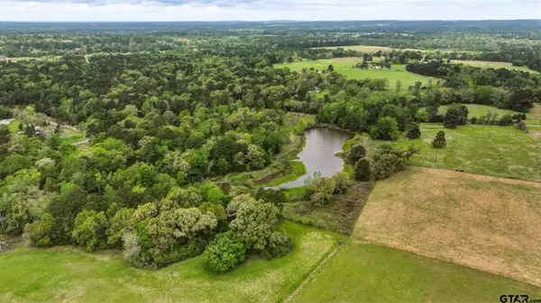 1029 An CR 185, Elkhart, TX 75839