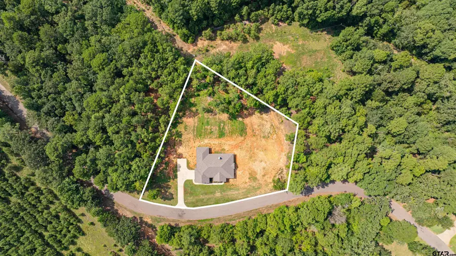 525 Lake Gladewater Rd, Gladewater, TX 75647 - #2