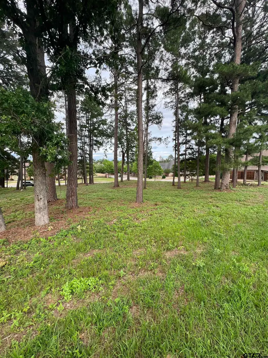 7125 Nottaway Dr, Tyler, TX 75703 - #3