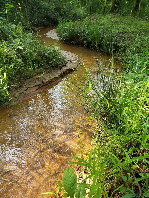 20039 CR 450, Lindale, TX 75771