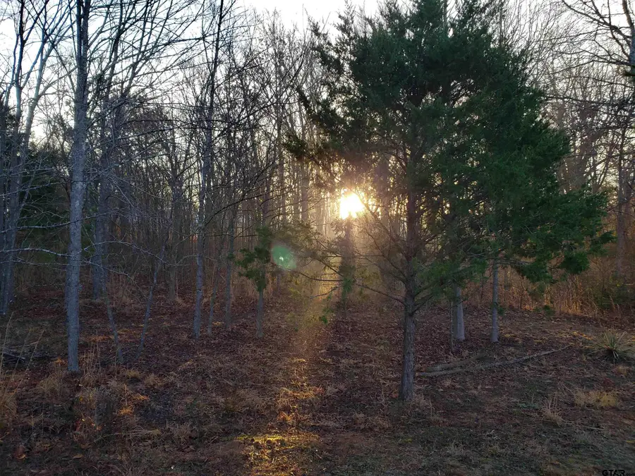 20039 CR 450, Lindale, TX 75771 - #3