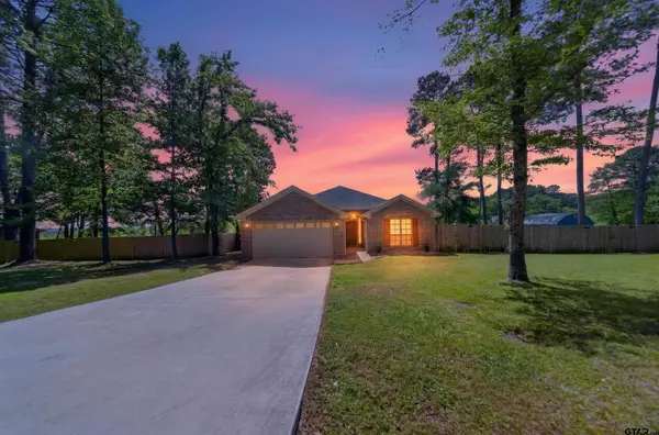 17171 Mary Martin Drive, Flint, TX 75762