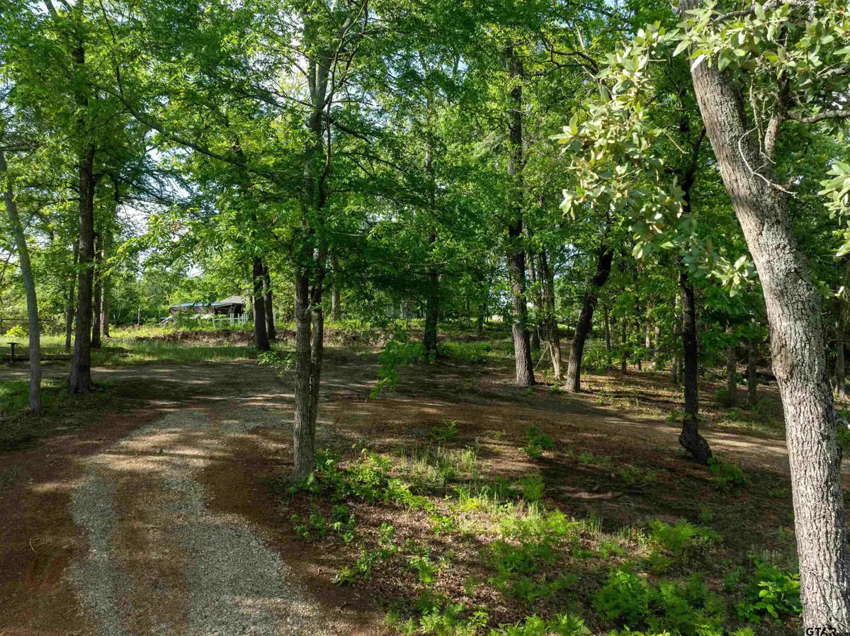 175 North Lake Drive, Murchison, TX 75778 - #1