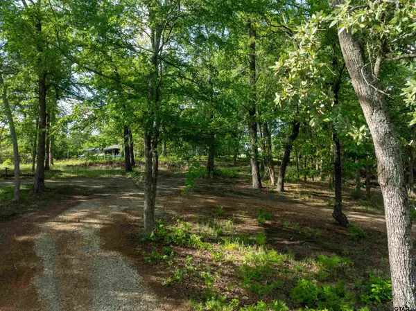 175 North Lake Drive, Murchison, TX 75778