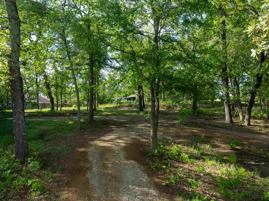 175 North Lake Drive, Murchison, TX 75778 - #2