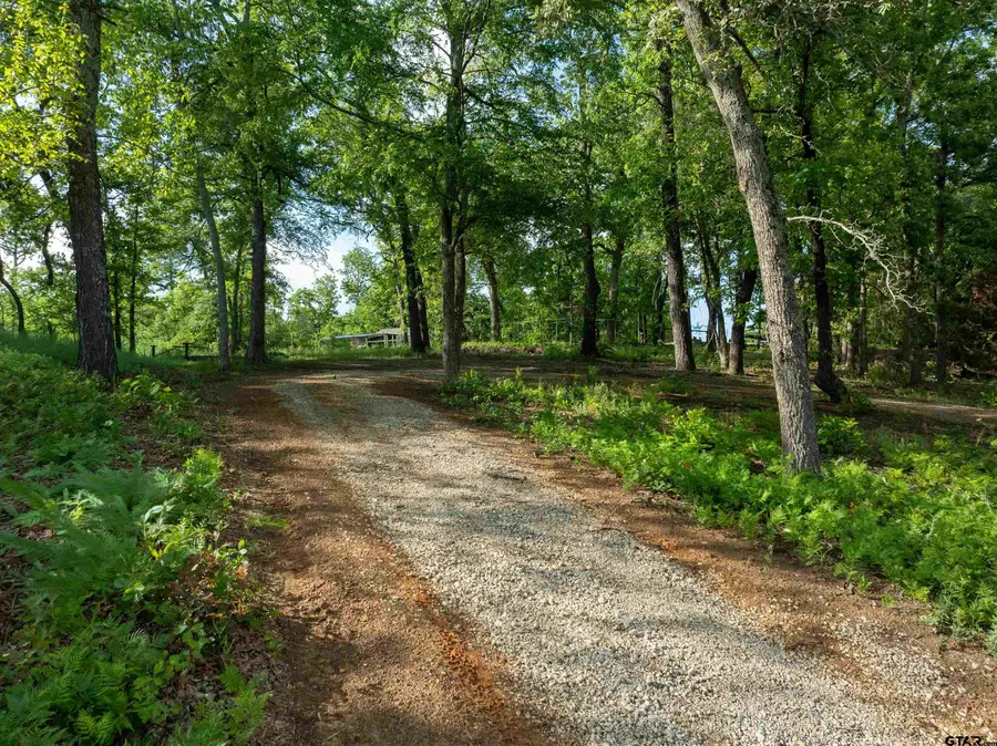 175 North Lake Drive, Murchison, TX 75778 - #3