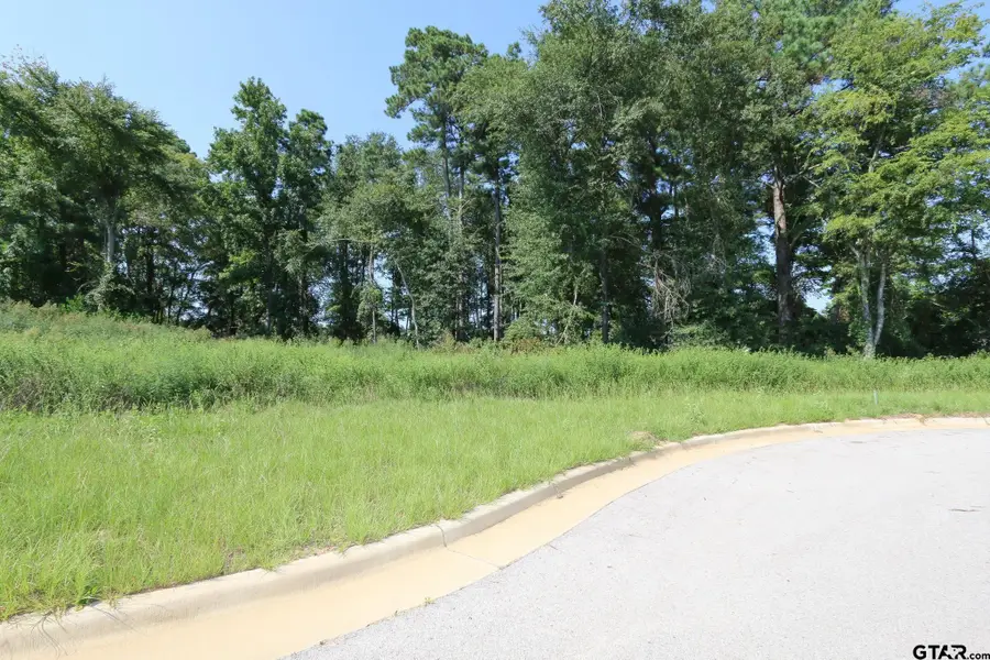 14276 Aliyah Court, Tyler, TX 75703 - #3