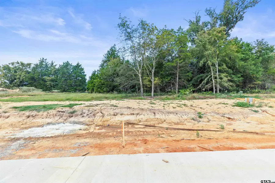 13915 Cedar Hill Ln, Tyler, TX 75704 - #2