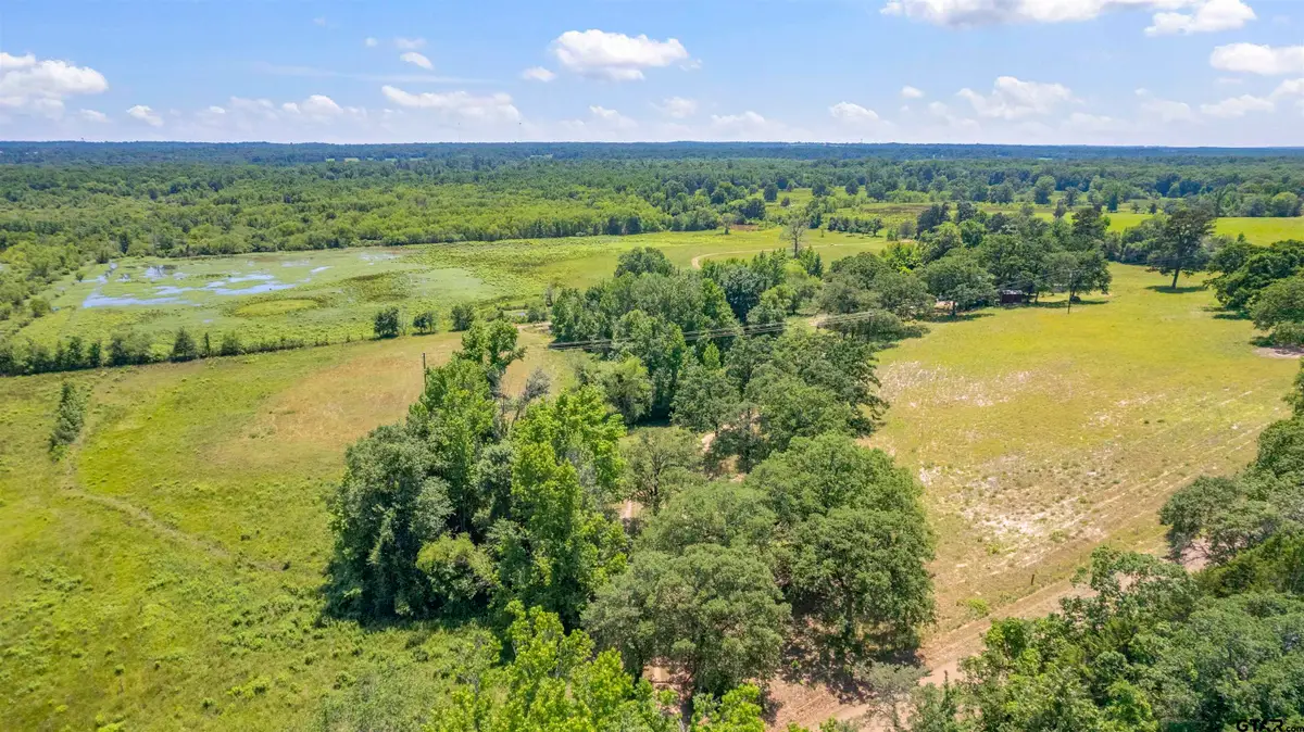 12250 CR 3513, Brownsboro, TX 75756 - #1