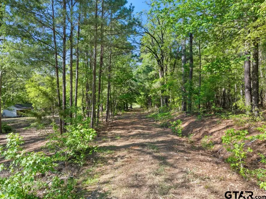 16674 SH-64, Tyler, TX 75704 - #2