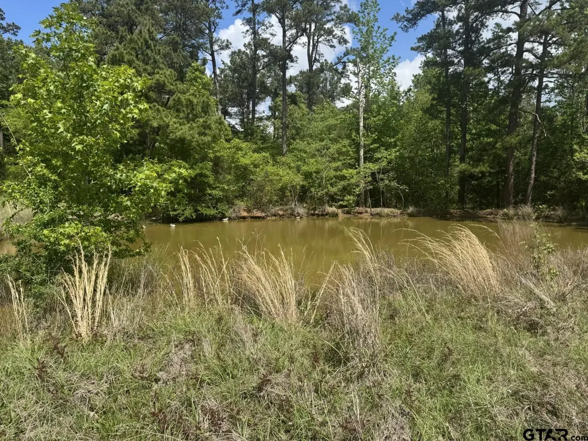 TBD-B FM 2867, Henderson, TX 75654 - #1