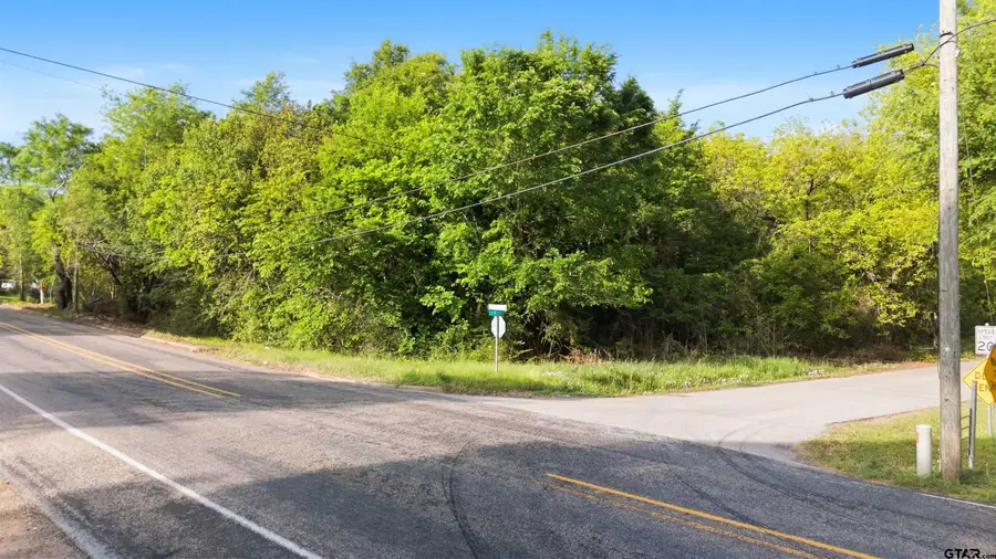 615 N Jarvis St, Troup, TX 75789 - #2