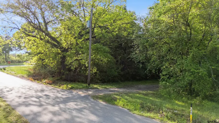 615 N Jarvis St, Troup, TX 75789 - #3