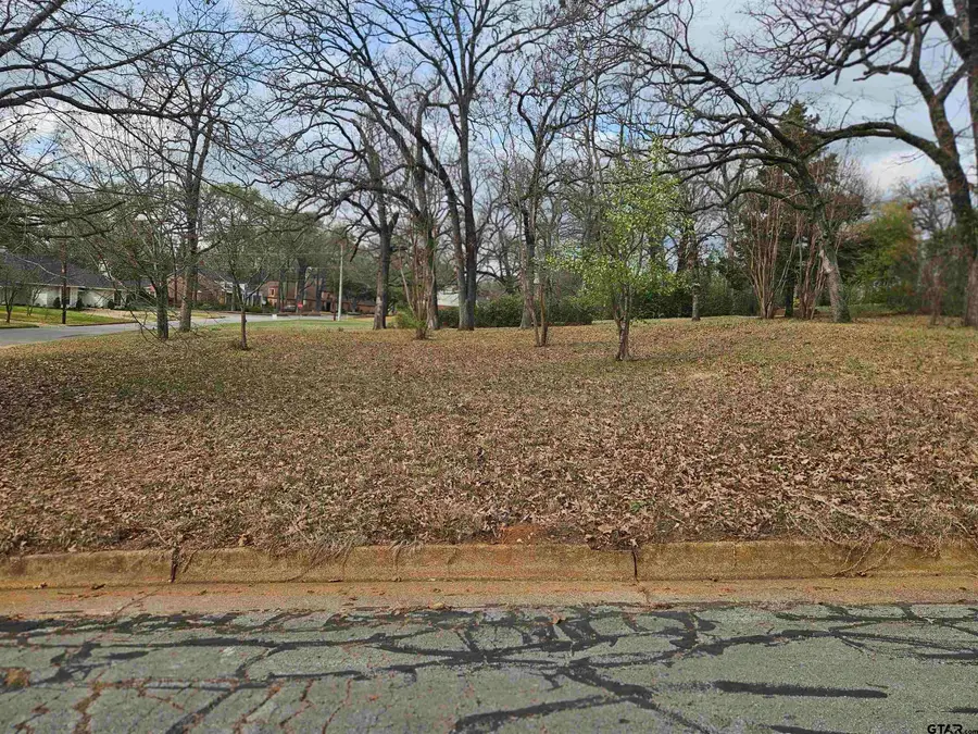 2995 S Broadway, Tyler, TX 75701 - #3