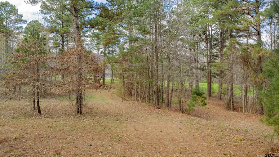 4387 FM 13 W, Henderson, TX 75654 - #2