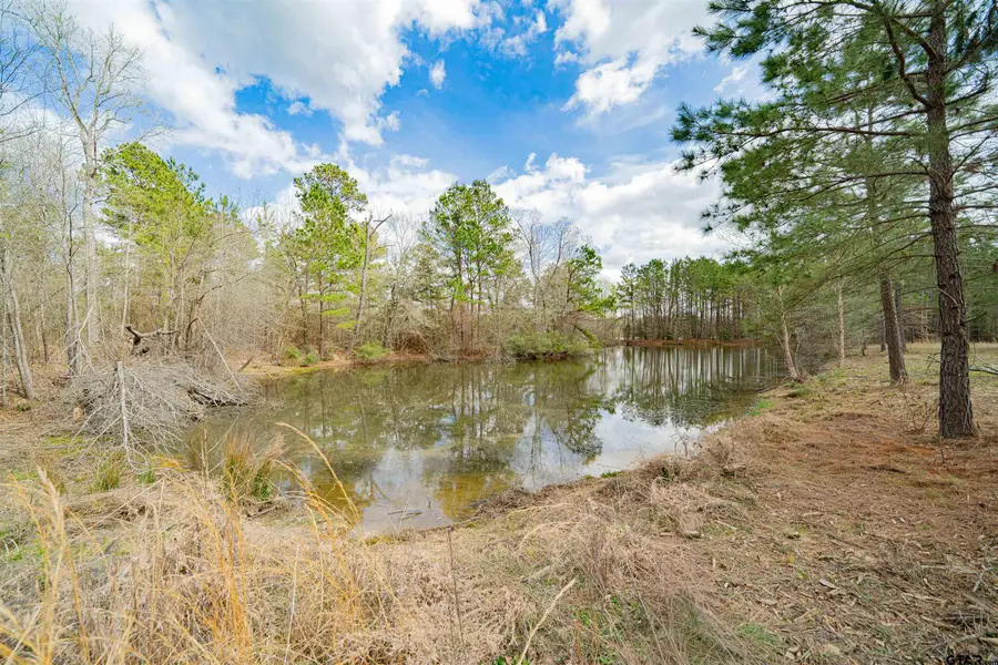 4387 FM 13 W, Henderson, TX 75654 - #3