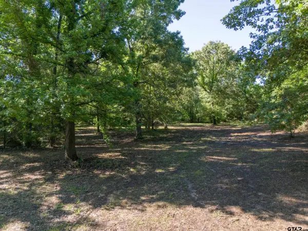 TBD CR 1600, Alba, TX 75410