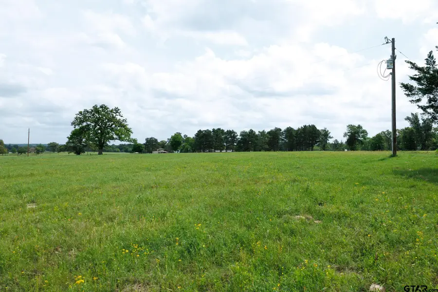 TBD An CR 336, Palestine, TX 75803 - #2