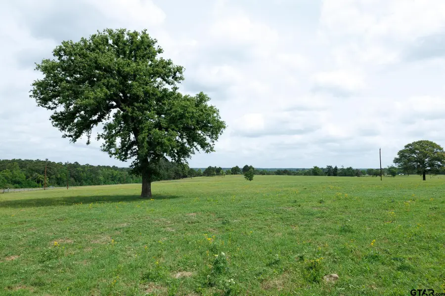 TBD An CR 336, Palestine, TX 75803 - #3