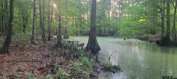 TBD County Road 430, Carthage, TX 75633