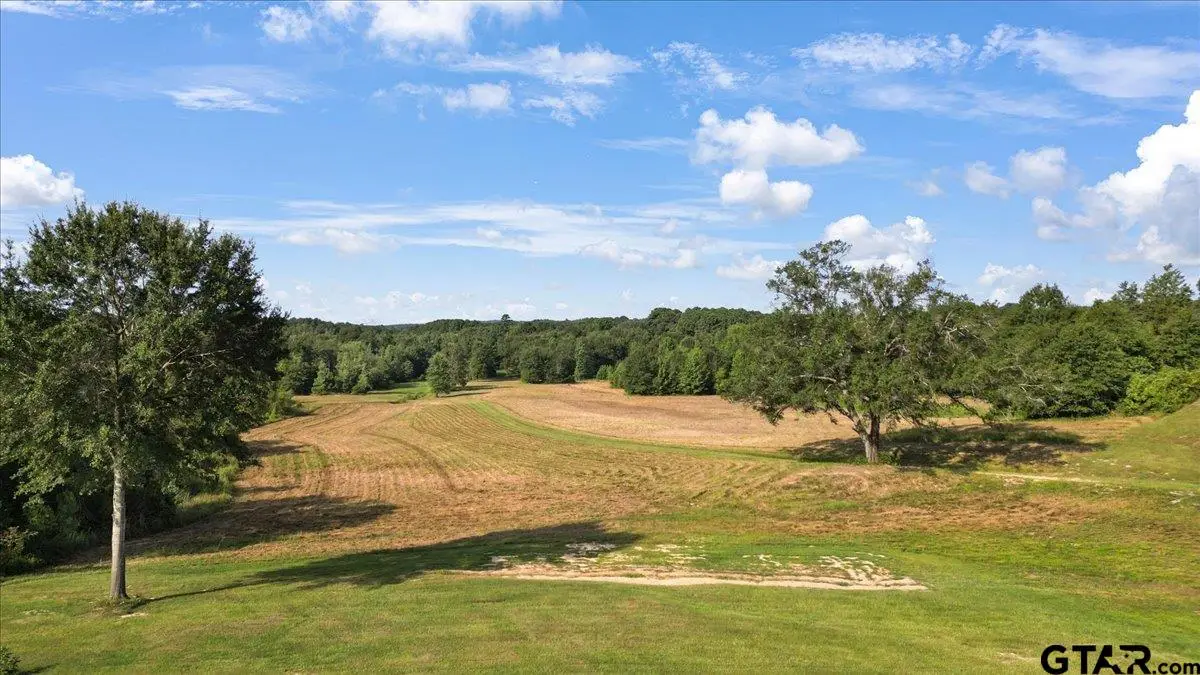TBD S Live Oak Rd, Gilmer, TX 75644 - #1