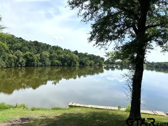 146 County Road 4827, Winnsboro, TX 75494 - #3