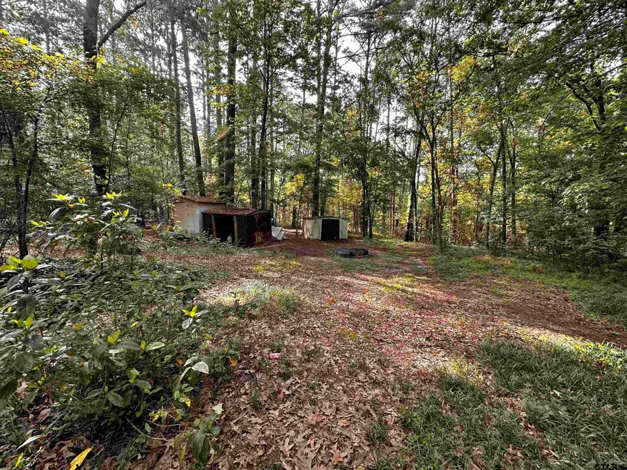 19909 CR 4130, Lindale, TX 75771 - #3