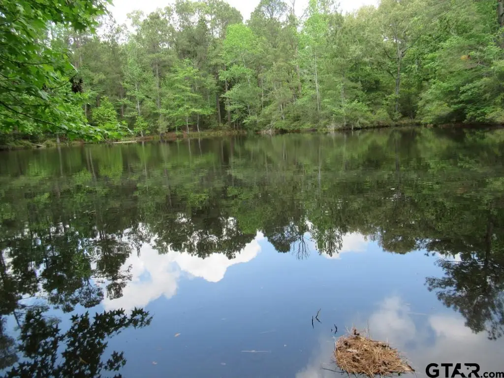 35.941 AC CR 2130, Crockett, TX 75835 - #1