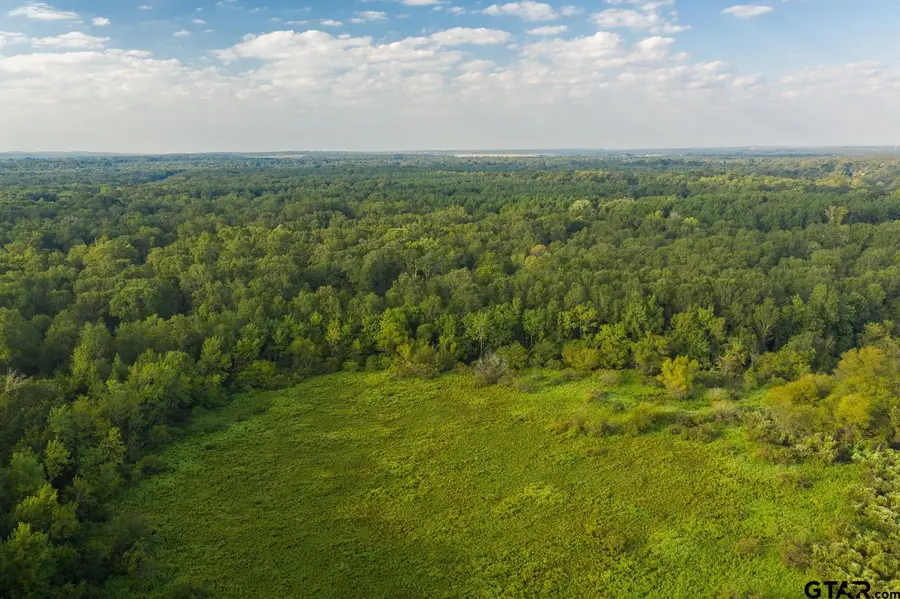 821 Gorman Oaks, Big Sandy, TX 75755 - #2