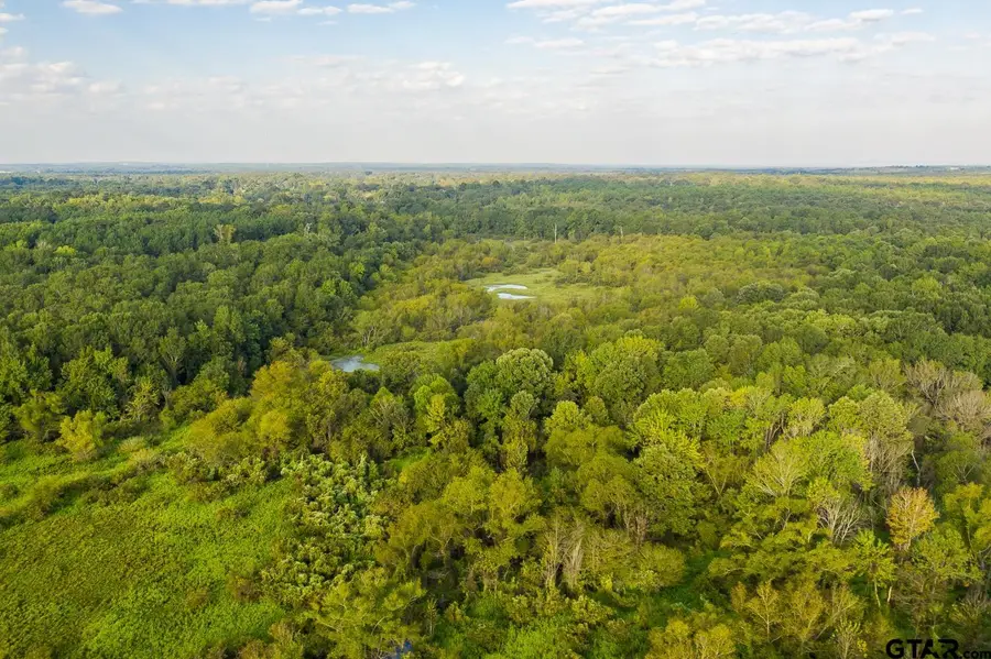 821 Gorman Oaks, Big Sandy, TX 75755 - #3