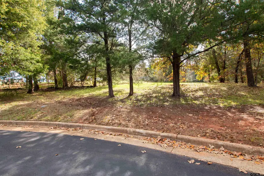 128 Lake Lou Ella Dr, Bullard, TX 75757 - #2