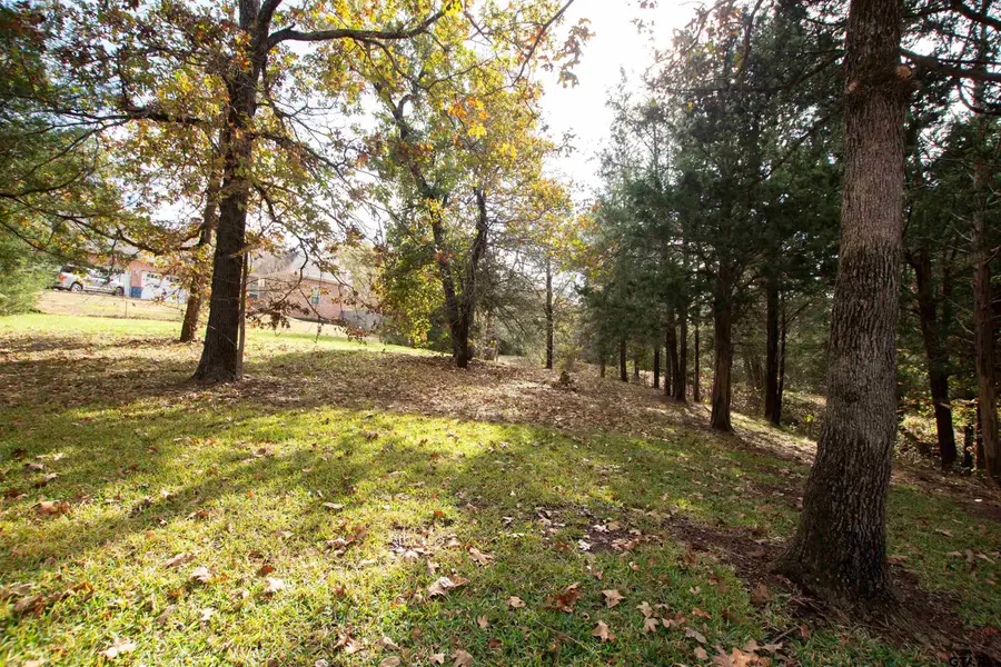 128 Lake Lou Ella Dr, Bullard, TX 75757 - #3