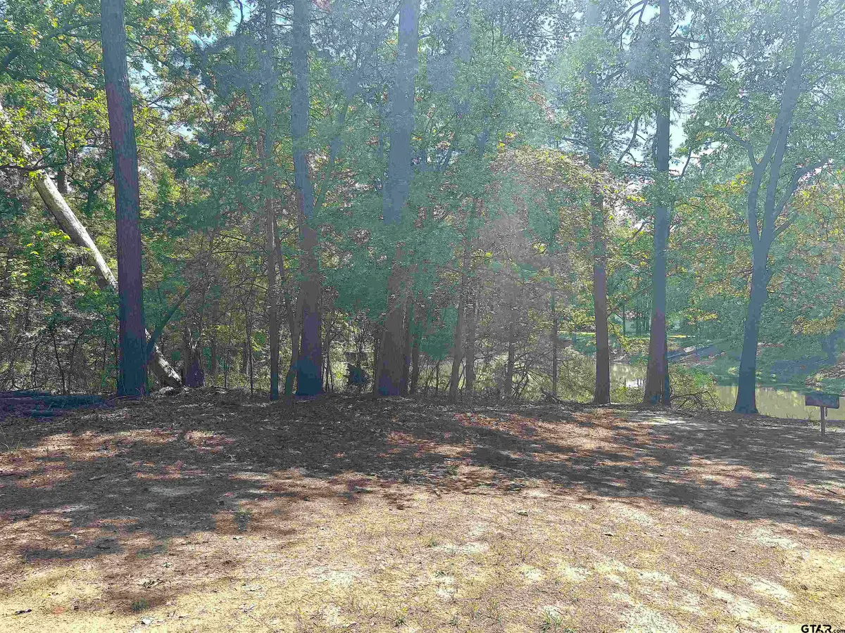 Lot 45 Cypress Creek Dr, Mount Vernon, TX 75457 - #1