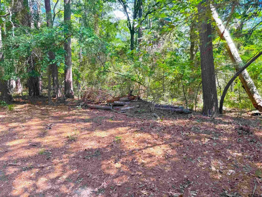 Lot 45 Cypress Creek Dr, Mount Vernon, TX 75457 - #2