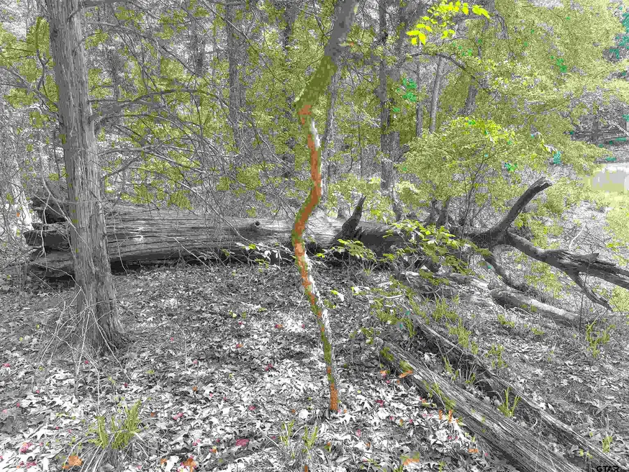 Lot 45 Cypress Creek Dr, Mount Vernon, TX 75457 - #3