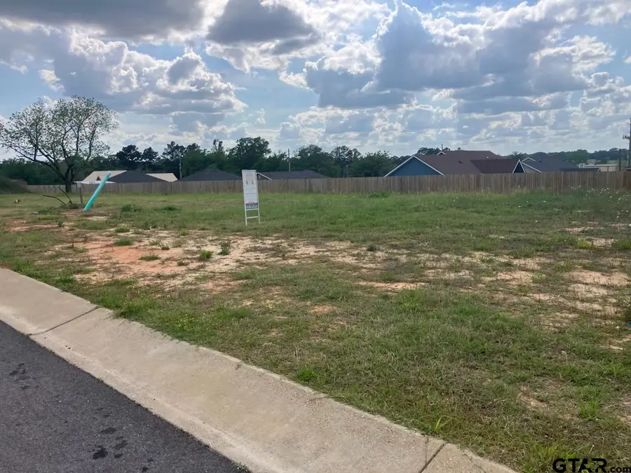 224 Nolan Farms Blvd, Winona, TX 75792 - #2