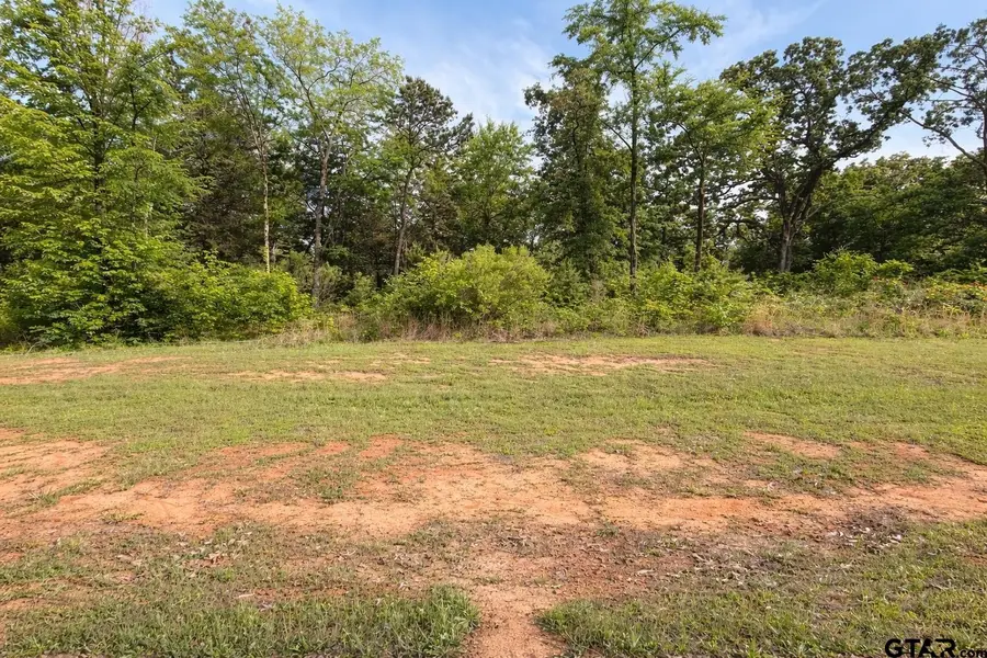 TBD PR 52415, Pittsburg, TX 75686 - #2