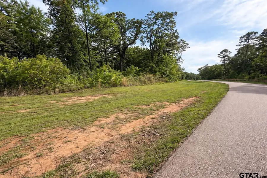 TBD PR 52415, Pittsburg, TX 75686 - #3