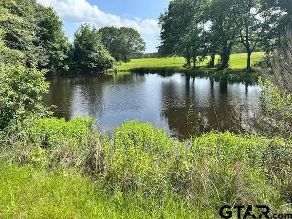 0 VZ County Road 1128, Fruitvale, TX 75127