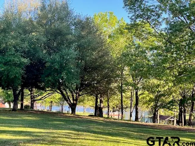 90 County Road 2933, Pittsburg, TX 75686 - #1