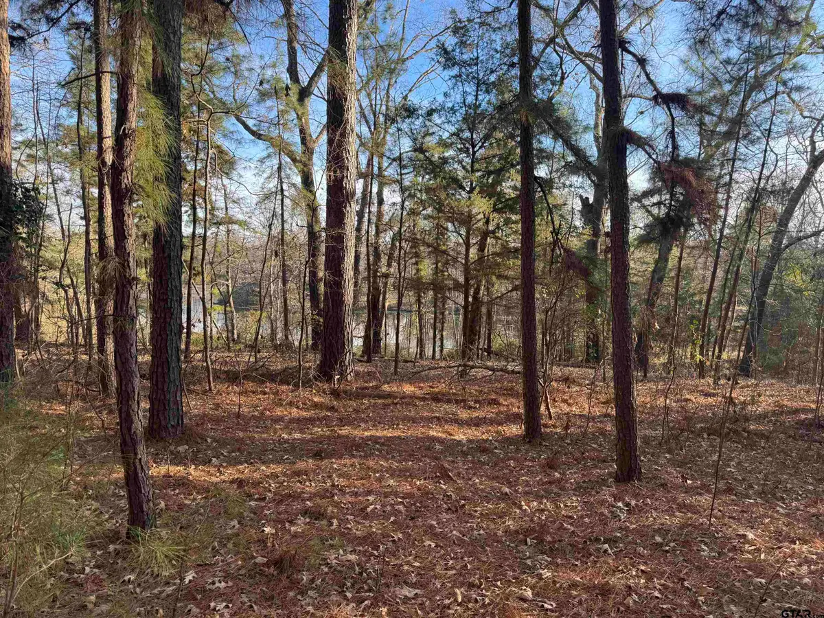 1527 FM 778, Quitman, TX 75783 - #1