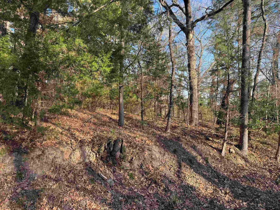 1527 FM 778, Quitman, TX 75783 - #2