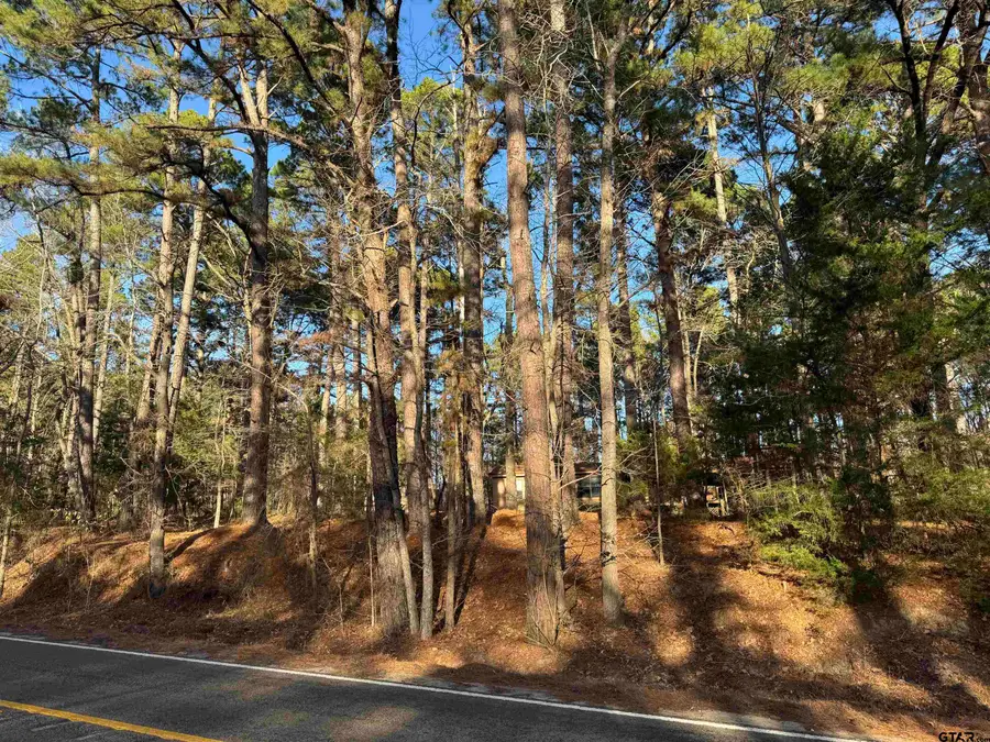 1527 FM 778, Quitman, TX 75783 - #3